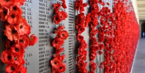 Photo of commemorative red poppies on war memorial wall
